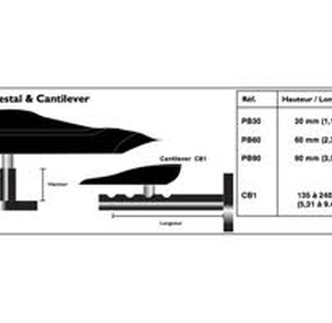 CB1