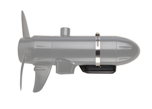 DSI  TM mount